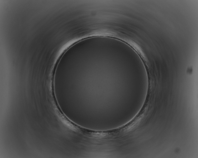 X0000096640854200802121108