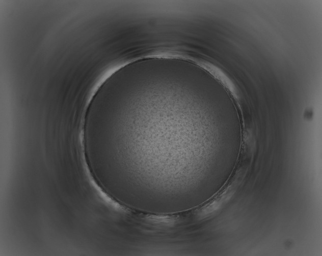X0000096640855200802121108