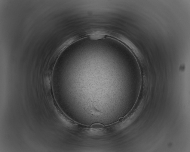 X0000096640857200802121108