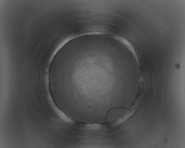 X0000096640859200802121108