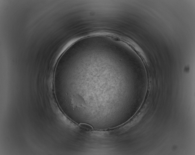 X0000096640860200802121108