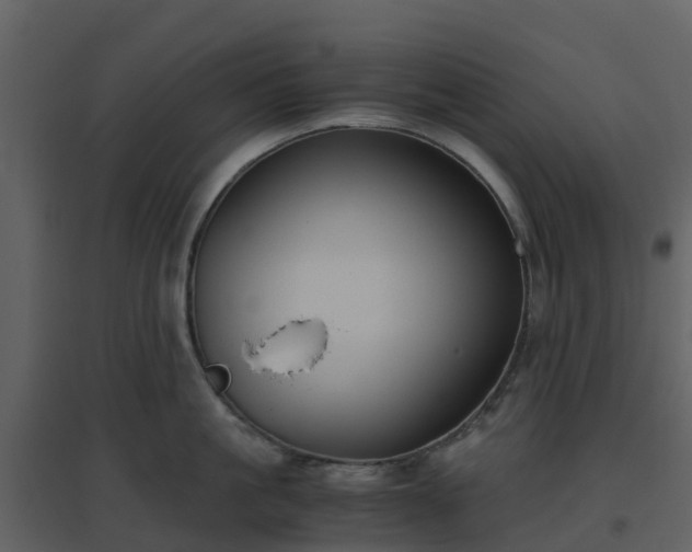 X0000096640861200802121108