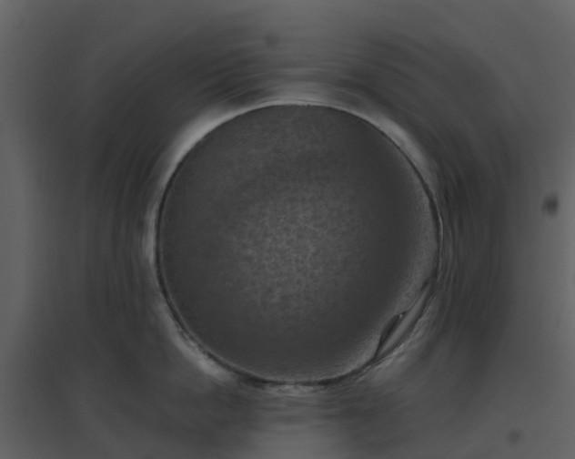 X0000096640862200802121108