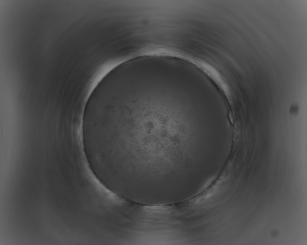 X0000096640863200802121108