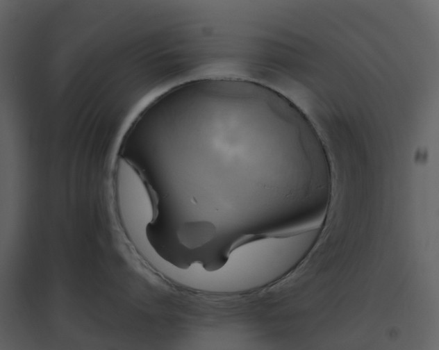 X0000096640864200802121108