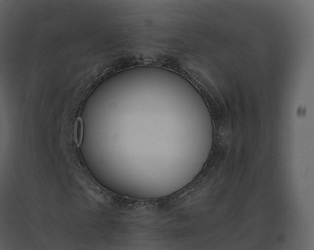 X0000096640865200802121108
