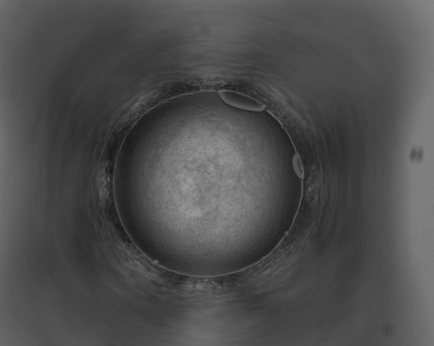 X0000096640866200802121108