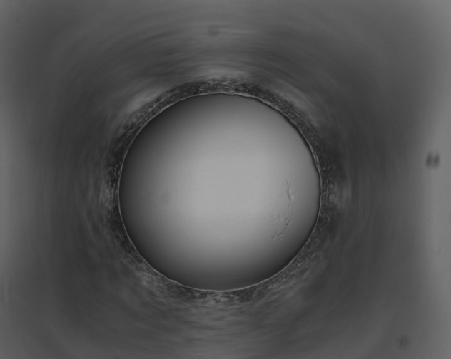 X0000096640869200802121108