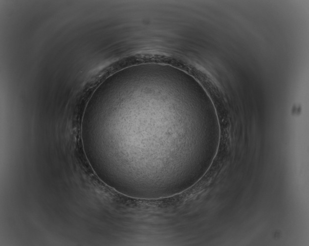 X0000096640870200802121108