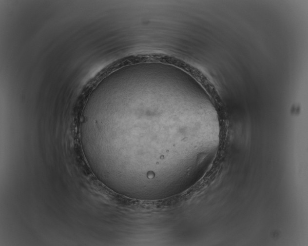 X0000096640871200802121108