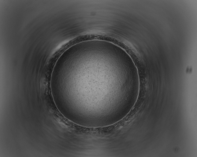 X0000096640872200802121108
