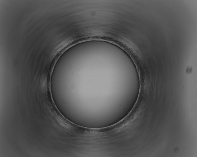 X0000096640873200802121108