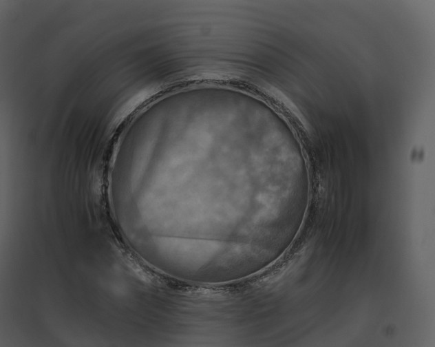 X0000096640874200802121108