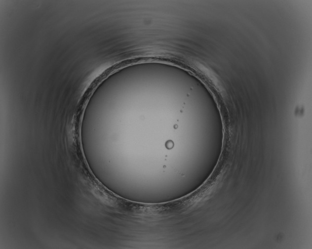 X0000096640875200802121108