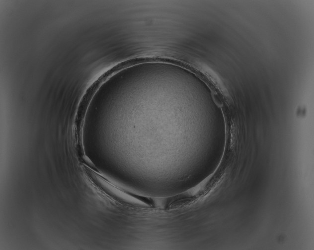 X0000096640876200802121108