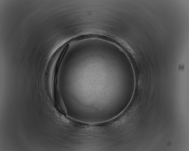 X0000096640877200802121108