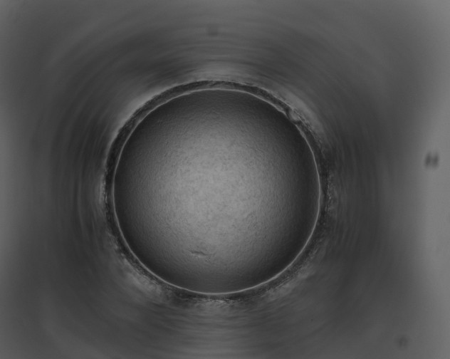 X0000096640880200802121108
