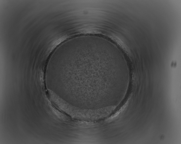 X0000096640881200802121107
