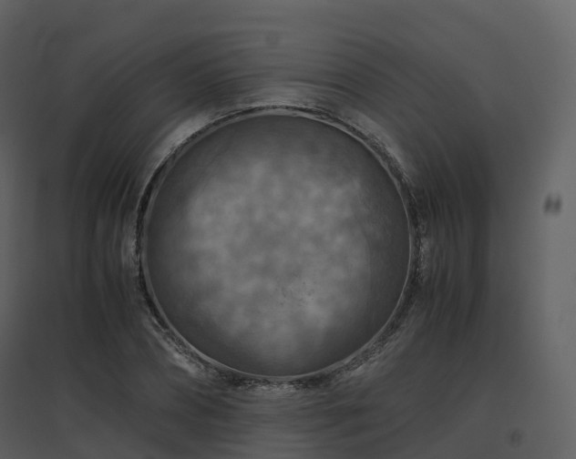 X0000096640882200802121107