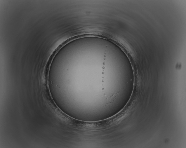 X0000096640883200802121107