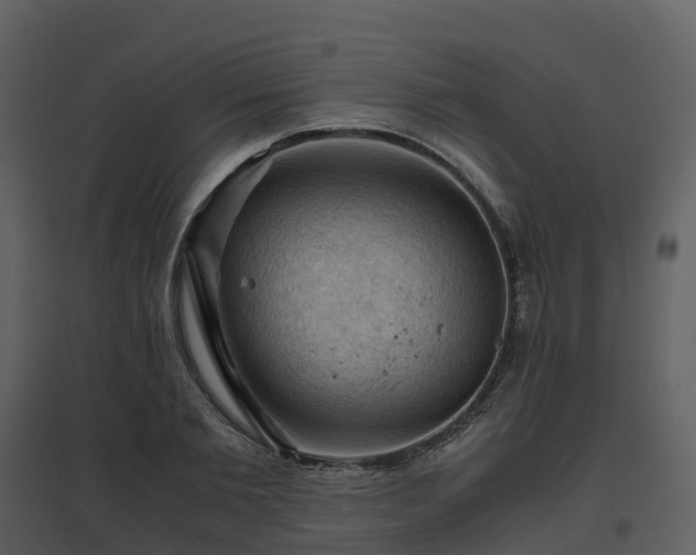 X0000096640885200802121107
