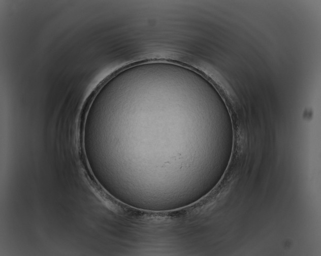 X0000096640886200802121107