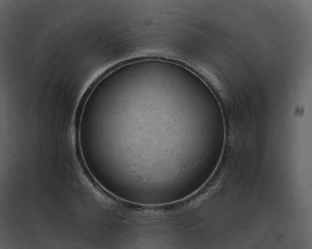 X0000096640888200802121107