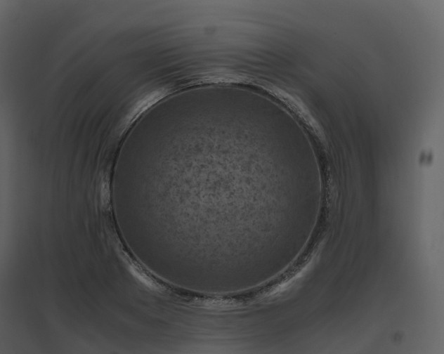 X0000096640889200802121107