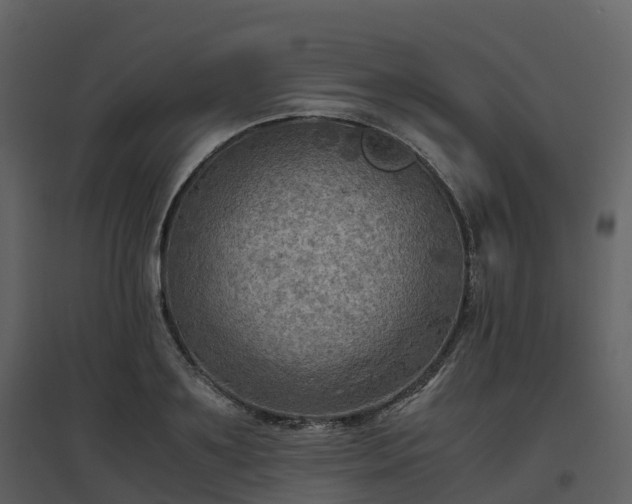 X0000096640891200802121107