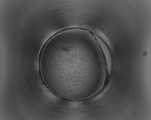 X0000096640892200802121107