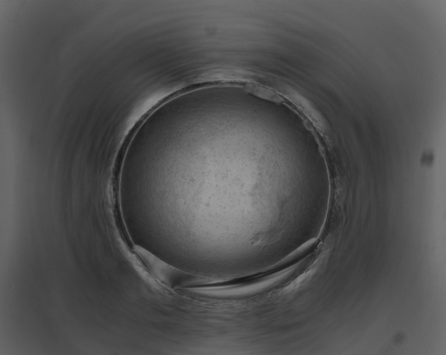 X0000096640893200802121107
