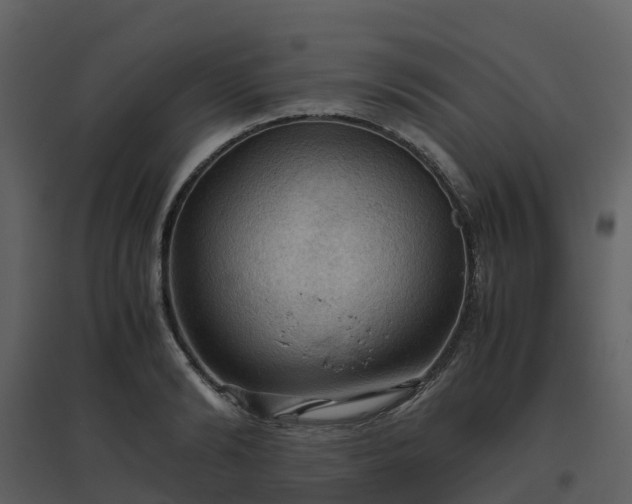 X0000096640894200802121107