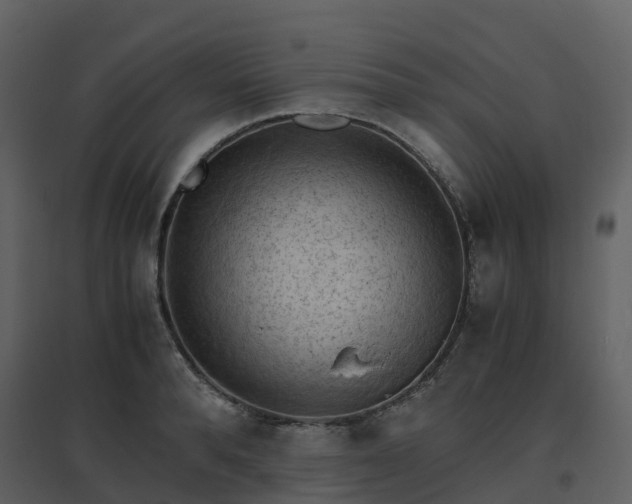 X0000096640896200802121107