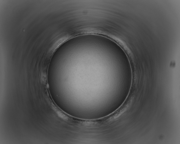 X0000096640897200802121107