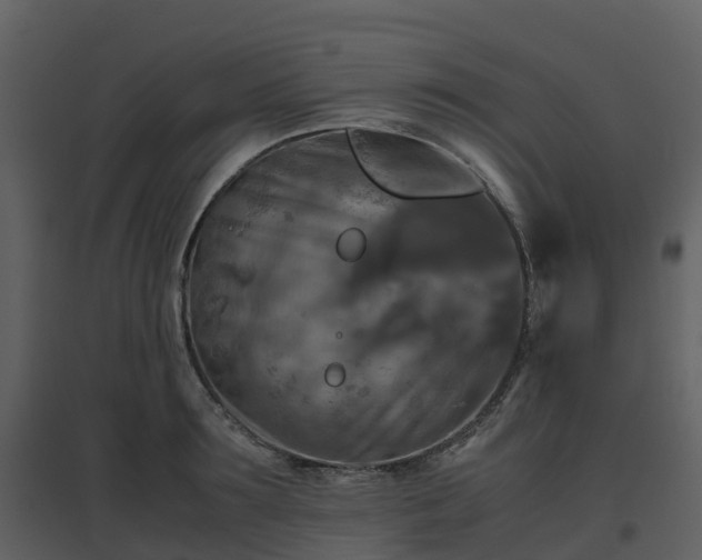 X0000096640899200802121107