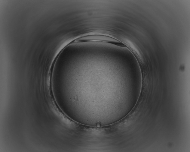 X0000096640900200802121107