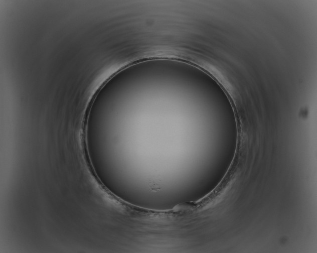 X0000096640901200802121107