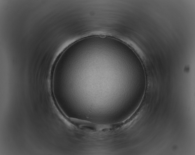 X0000096640902200802121107