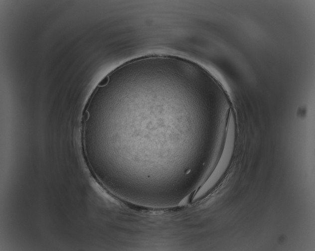 X0000096640903200802121107