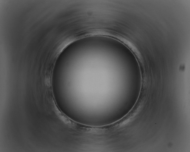 X0000096640905200802121107