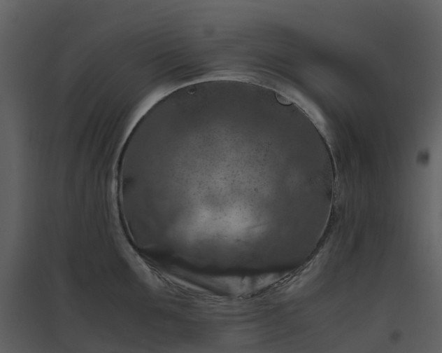 X0000096640907200802121107