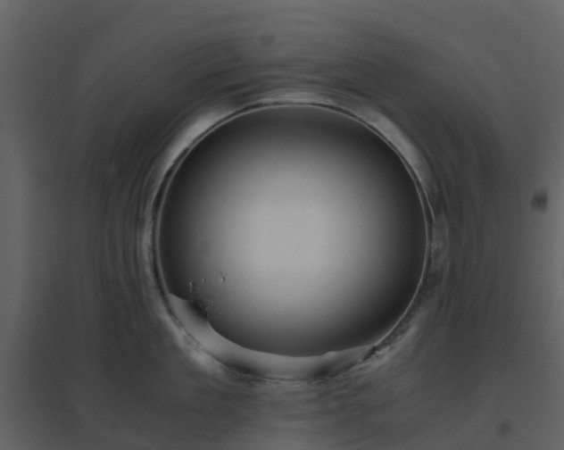 X0000096640909200802121107