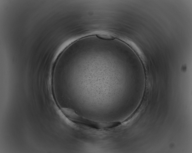 X0000096640910200802121107