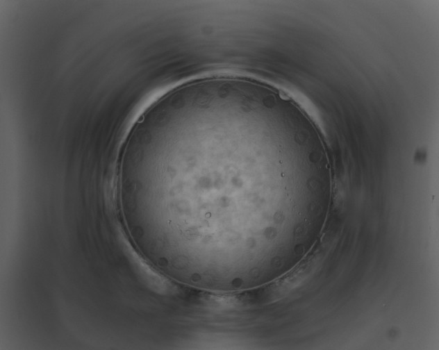 X0000096640911200802121107