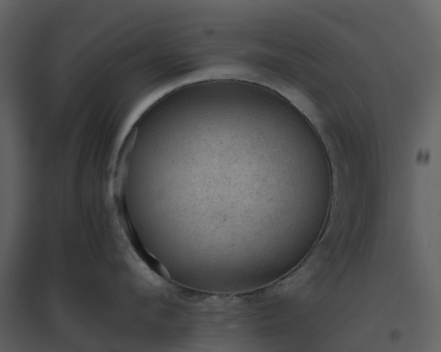 X0000096640912200802121107