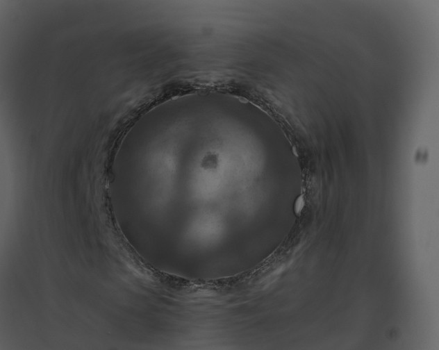 X0000096640913200802121106