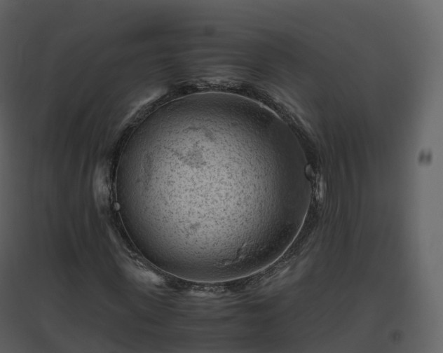 X0000096640915200802121106