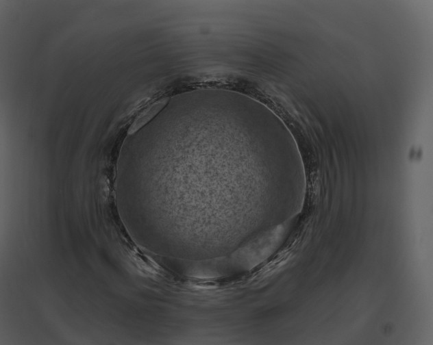 X0000096640916200802121106