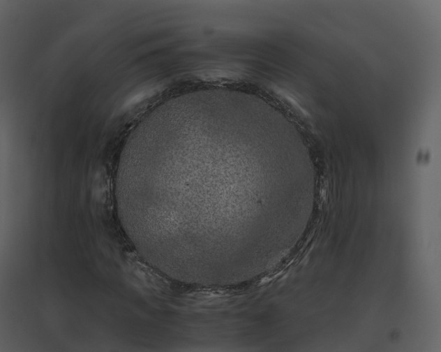 X0000096640917200802121106