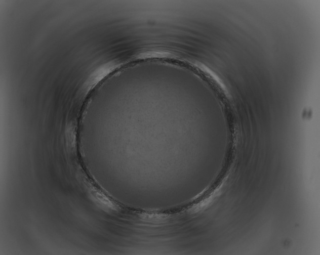 X0000096640921200802121106